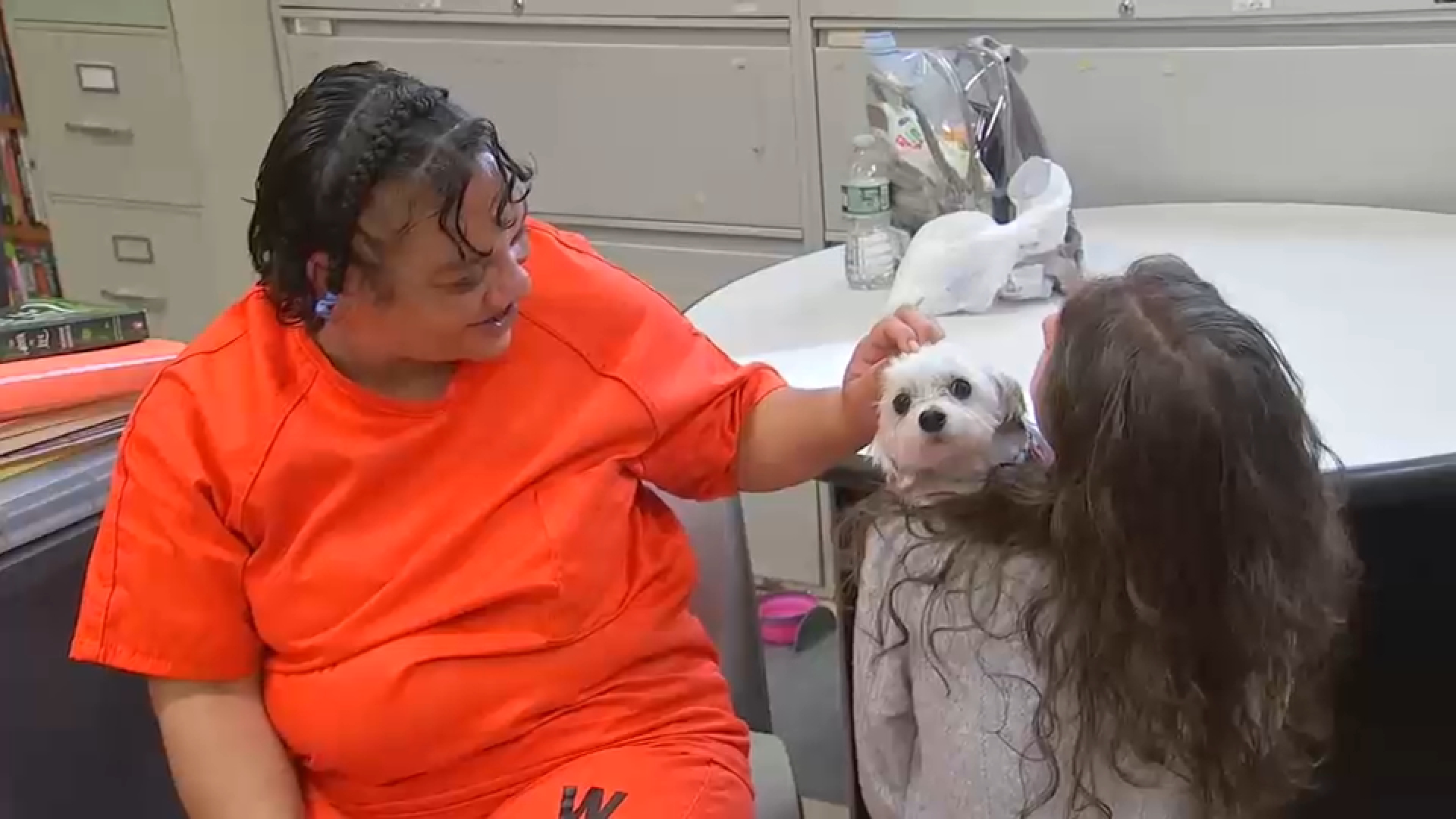 Therapy dogs help incarcerated parents build confidence, parenting skills and hope for homecoming
       — WABC-TV Eyewitness News (ABC7 NY)